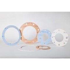 PTFE Gasket